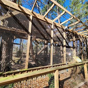 Eudora Wildlife Safari Park - Binturong exhibit