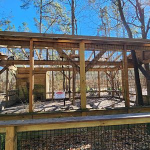 Eudora Wildlife Safari Park - Brown/BW Ruffed Lemur exhibit