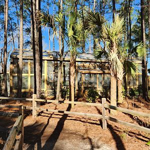 Eudora Wildlife Safari Park - Aviary from outside