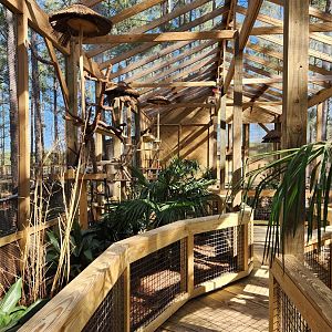 Eudora Wildlife Safari Park - Aviary from inside