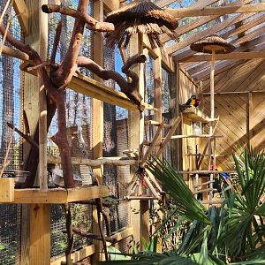 Eudora Wildlife Safari Park - Macaws hanging out