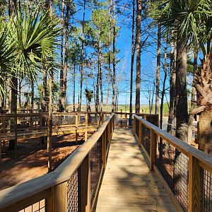 Eudora Wildlife Safari Park - Kangaroo walkabout
