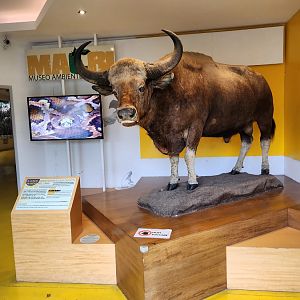 Bioparco Roma - Entrance to "Environmental Crime Museum"