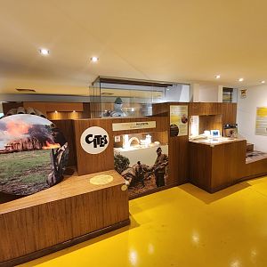 Bioparco Roma - "Environmental Crime Museum"