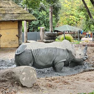 Bioparco Roma - White Rhinoceroses taking mud bath