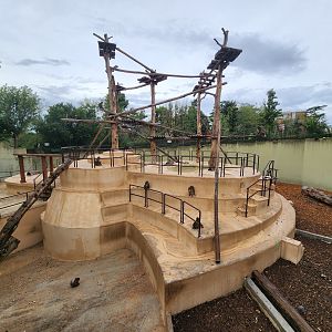 Bioparco Roma - Japanese Macaque exhibit