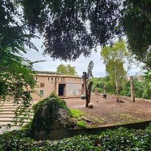 Bioparco Roma - Elephant yard