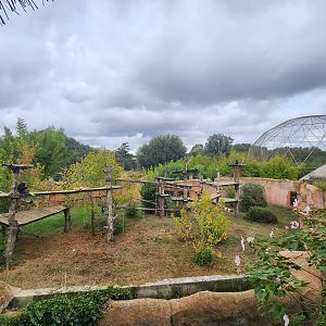 Bioparco Roma - Chimpanzee exhibit
