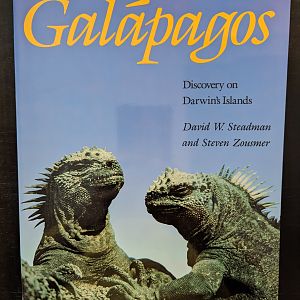 Galapagos Discovery on Darwin's Islands
