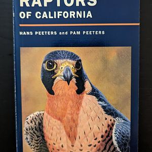 California Natural History Guides: Raptors of California