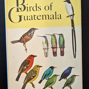 Birds of Guatamala