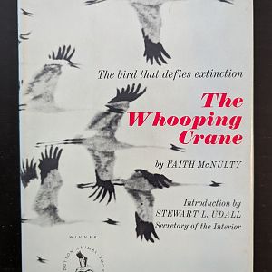 The Bird that Defies Extinction: The Whooping Crane