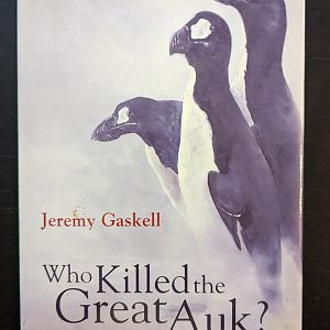 Who Killed the Great Auk?