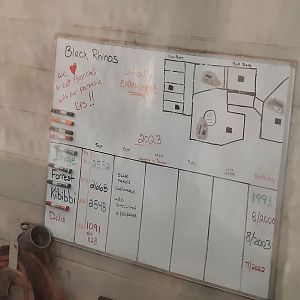 Rhino Information Board