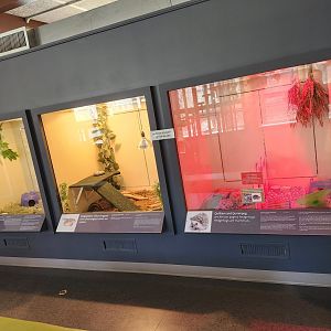 Earthplace - Indoor exhibit rows