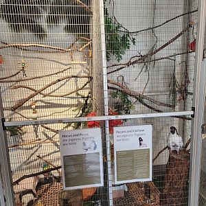 Earthplace - Pigeon enclosure