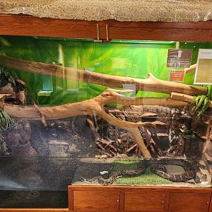 Earthplace - Burmese Python exhibit