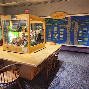 Earthplace - Museum room
