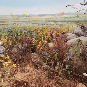 Earthplace - Field diorama