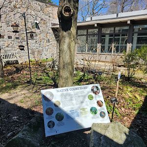 Earthplace - Native courtyard