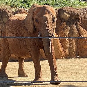 Kelly at Zoo Atlanta