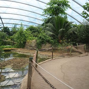 Main walkway and mangrove mudflats, 2023-10-07