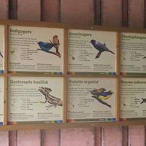 Free-ranging species in Mangrove ecodisplay signage, 2023-10-07