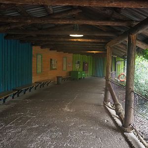 Mangrove ecodisplay - Veranda/Covered visitor area, 2023-10-07