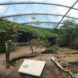 Mangrove mudflats and main walkway, with veranda/covered viewing area in the background, 2023-10-07