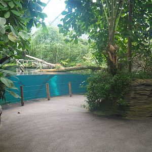 Antillean manatee underwater viewing area, 2023-10-07