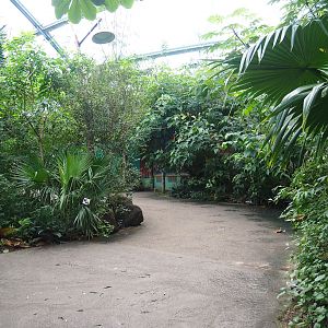 Main walkway in the Mangrove ecodisplay, 2023-10-07
