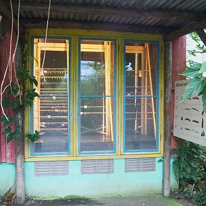 Mangrove ecodisplay butterfly hatching room, 2023-10-07