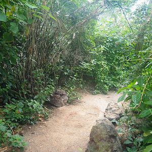 Mangrove ecodisplay - Smaller walkway/Adventure route, 2023-10-07