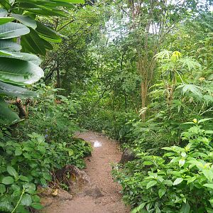 Mangrove ecodisplay - Smaller walkway/Adventure route, 2023-10-07
