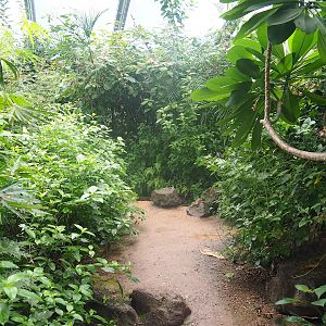 Mangrove ecodisplay - Smaller walkway/Adventure route, 2023-10-07
