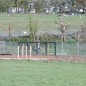 New glass windows for Langur/Babirusa enclosure