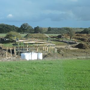 Monkey Forest Progress