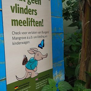 Please don't take butterflies outside signage, 2023-10-07