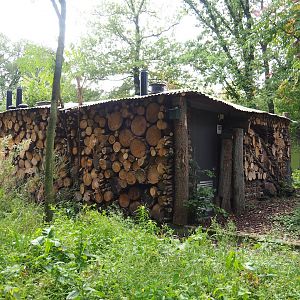 Large insect hotel around technical building, 2023-10-07
