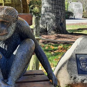 Colobus Monkey Statue