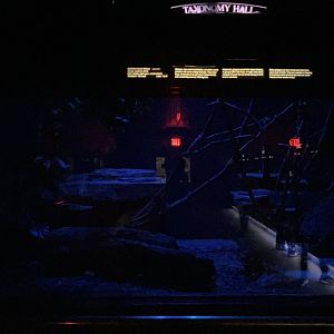 Mouse House - Moholi Bushbaby Exhibit