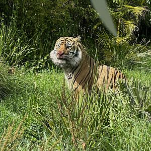 Ramah - Sensory Enrichment