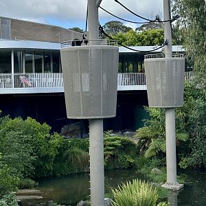 Siamang in Aerial Pathway Tower