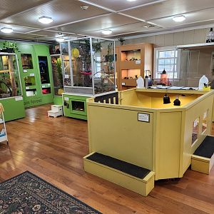 Stamford Museum & NC - Heckscher Wild exhibit room