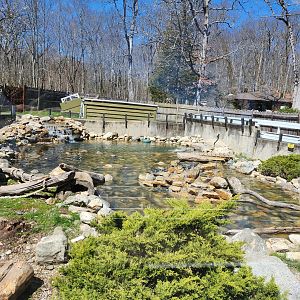 Stamford Museum & NC - North American River Otter exhibit