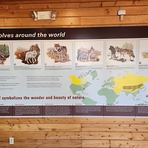 Beardsley Zoo - Wolves of the world