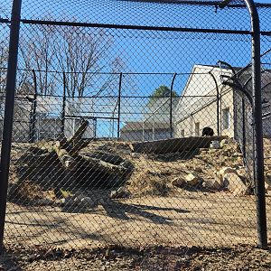 Beardsley Zoo - Spectacled Bear exhibit (side)