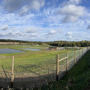 Jimmy's farm, polar bear enclosure, left side (pano)