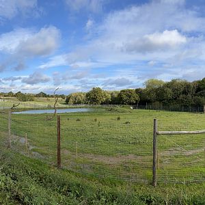 Jimmy's farm, polar bear enclosure, right side (pano)