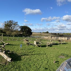 Jimmy's farm, macaque enclosure, left hand side